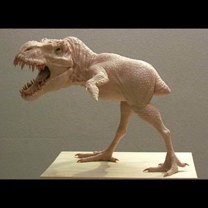 Meet your Posher, Kevin